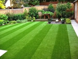 Artificial Grass