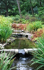 Water Features