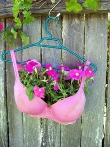 bra-planter