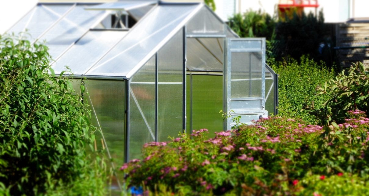 Greenhouse Plastic Shed Base Feature Image