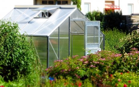 Greenhouse Plastic Shed Base Feature Image