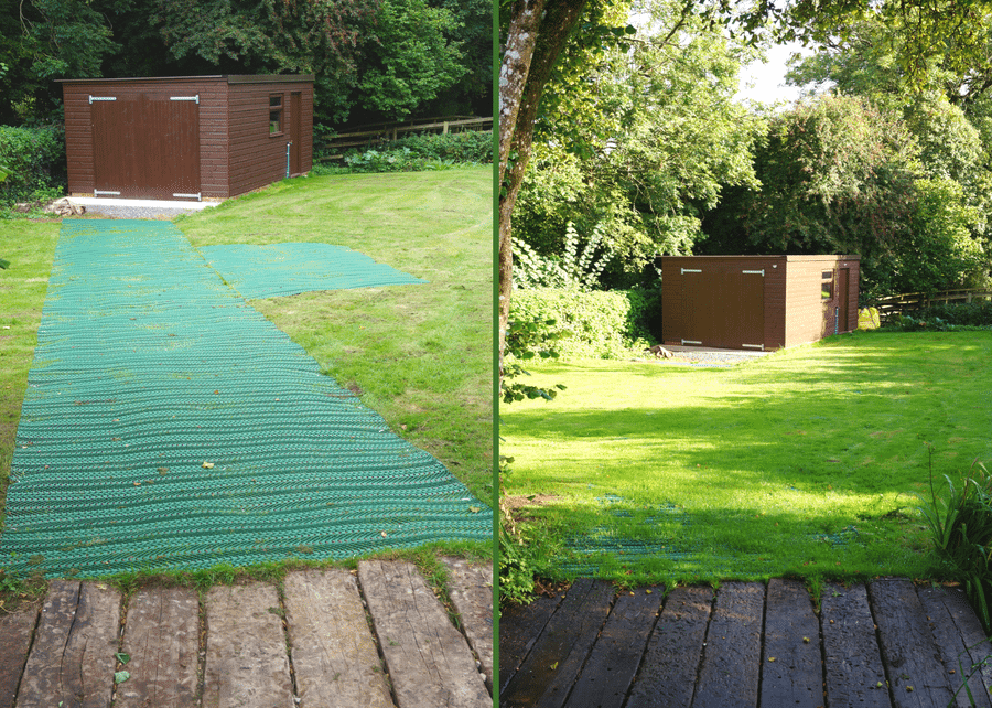 Grass Protection Mesh to Shed Featured Image