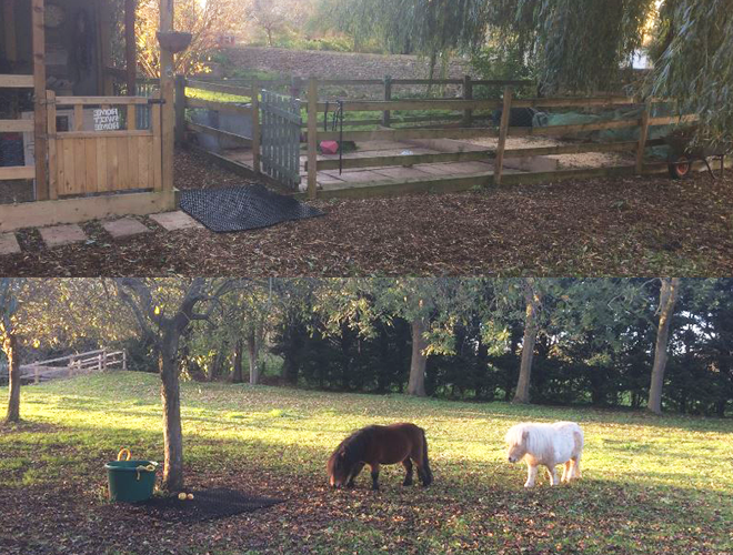 Rubber Grass Mats - Horse Recovery & Paddock