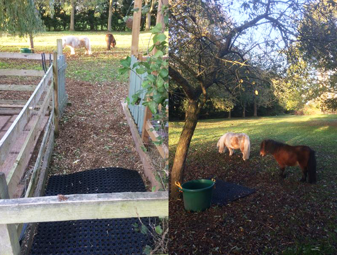 Rubber Grass Mats - Recovery Area & In Paddock