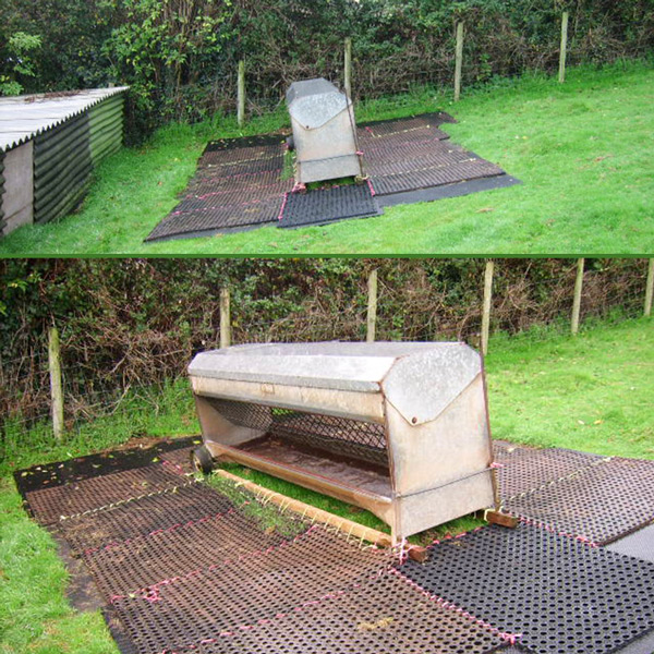 Rubber Grass Mats Under A Sheep Feeder