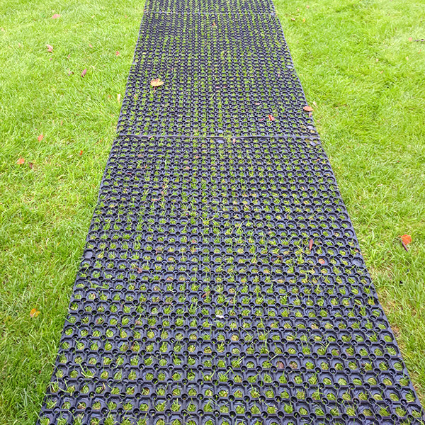 Rubber Grass Mats Under Washing Line1