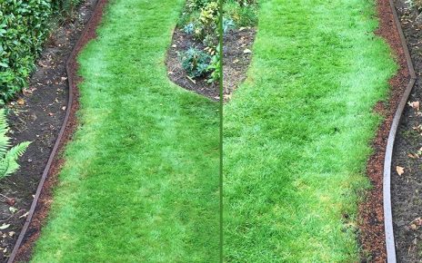 Lawn-Edging-Plank-Featured-Image