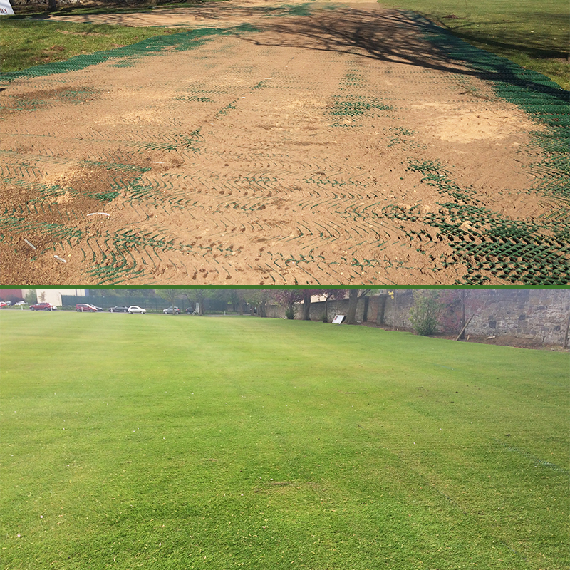 Grange Sports Club - TurfMesh Sand and Grown Grass