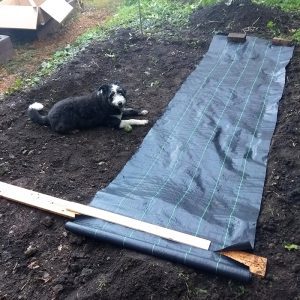 8ft x 6ft Forest Garden Shed & Base Installation - Turf & Soil Excavated