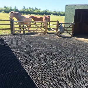 Equestrian-Rubber-Grass-Mats---Installed-In-A-Horse-Yard