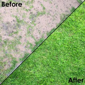 Grass-Protection-Mats---Installed-On-Back-Garden