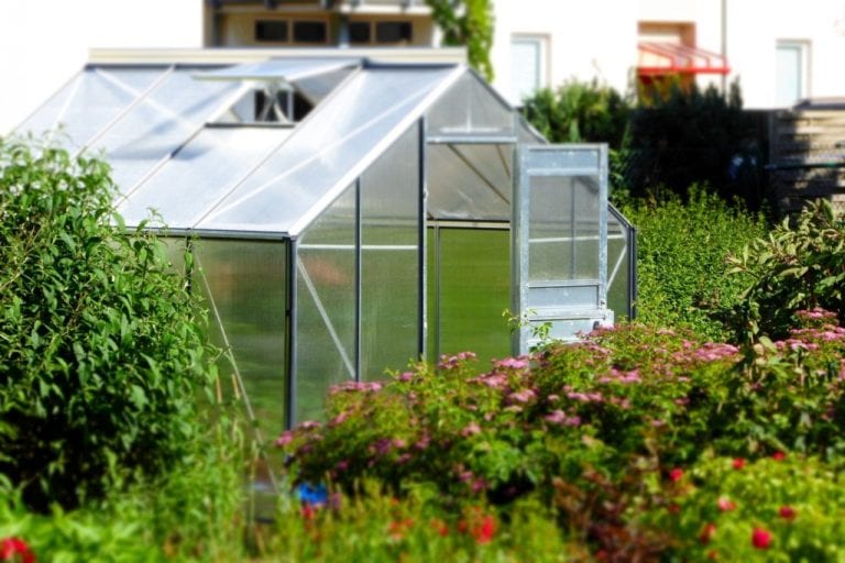 Small Garden Greenhouse