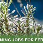 February Gardening Tasks - Featured Image