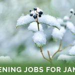 January Gardening Tasks - Featured Image