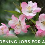 Gardening Jobs For April - Featured Image