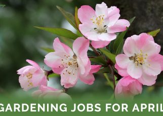 Gardening Jobs For April - Featured Image