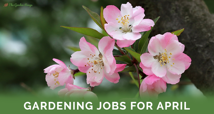 Gardening Jobs For April - Featured Image