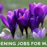 Gardening Jobs For March - Featured Image