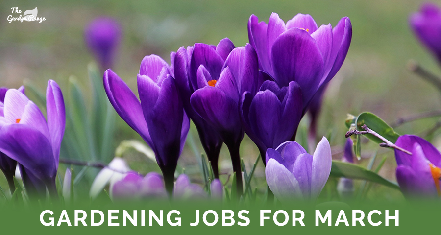 Gardening Jobs For March - Featured Image