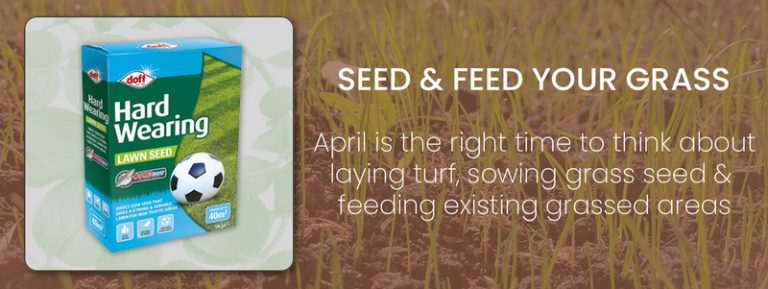 April Garden Maintenance - Grass Seed & Feed