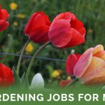 Gardening Jobs For May - Featured Image