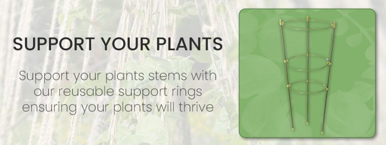 Plant-Support-Rings---On-A-White-Background