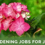 Gardening Jobs For June - Featured Image