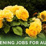 Gardening Jobs For August - Featured Image