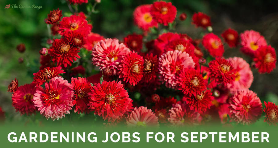 Gardening Jobs For September - Featured Image