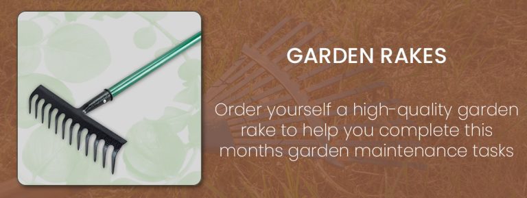 Maintenance---Garden-Rakes