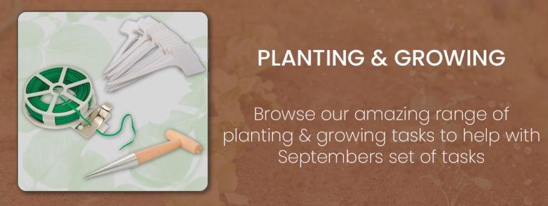 Planting---Planting-&-Growing