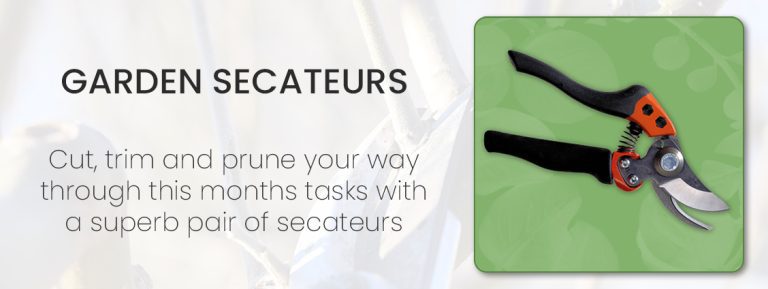 Planting---Secateurs