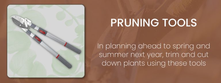 Fruit-&-Veg---Pruning