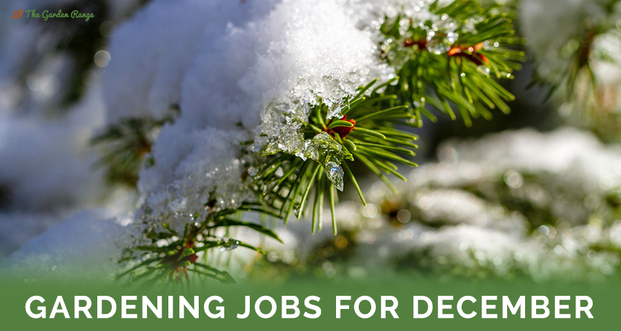 Gardening Jobs For December - Featured Image
