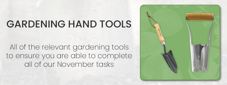 November Fruit & Veg - Gardening Hand Tools