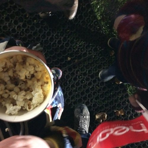 Snacks & Stood On Rubber Grass Mats - Illuminate The Gardens