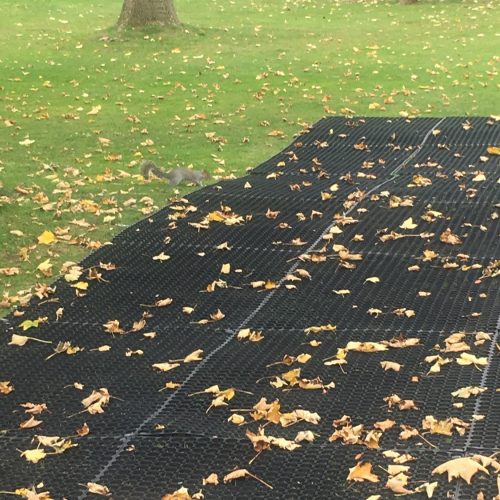 Squirrell On Rubber Grass Mats - Illuminate The Gardens