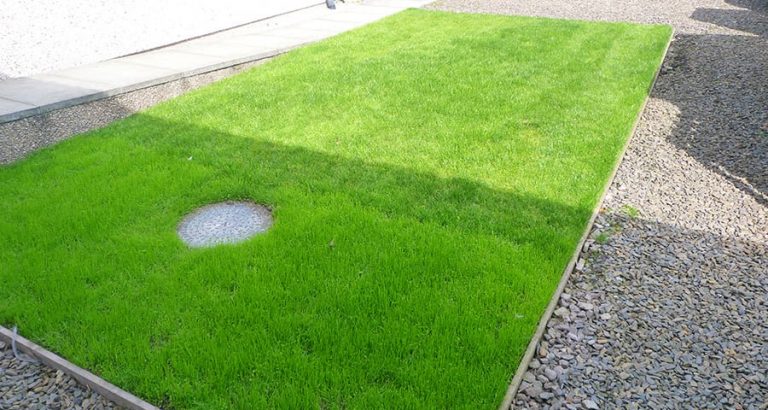 Green-X-Grid-Grassed-Area-Featured-Image