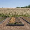 RecoPlanc - Image 9