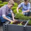 RecoGrow Vegetable Planter - Image 2