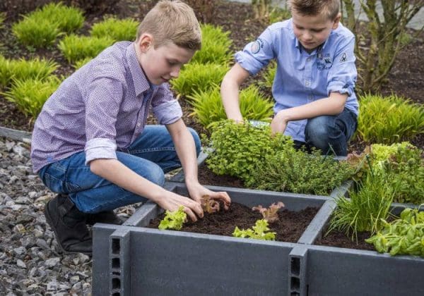 RecoGrow Vegetable Planter - Image 2