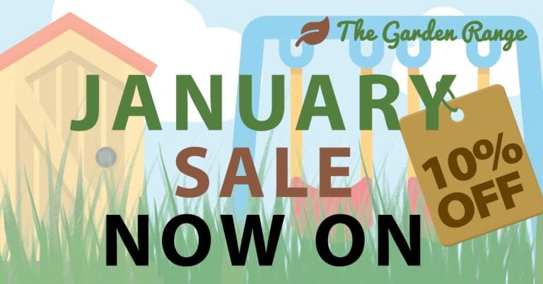 January-Sale