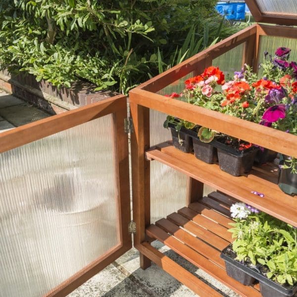 Hardwood Coldframe - Image 4