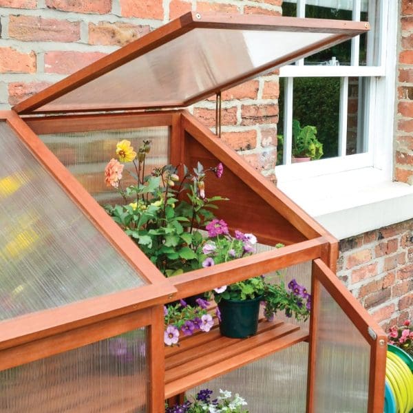Hardwood Mini Greenhouse - Image 4