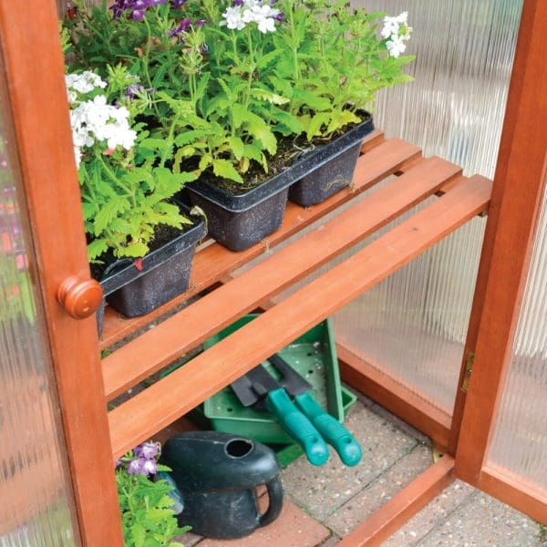 Hardwood Mini Greenhouse - Image 5
