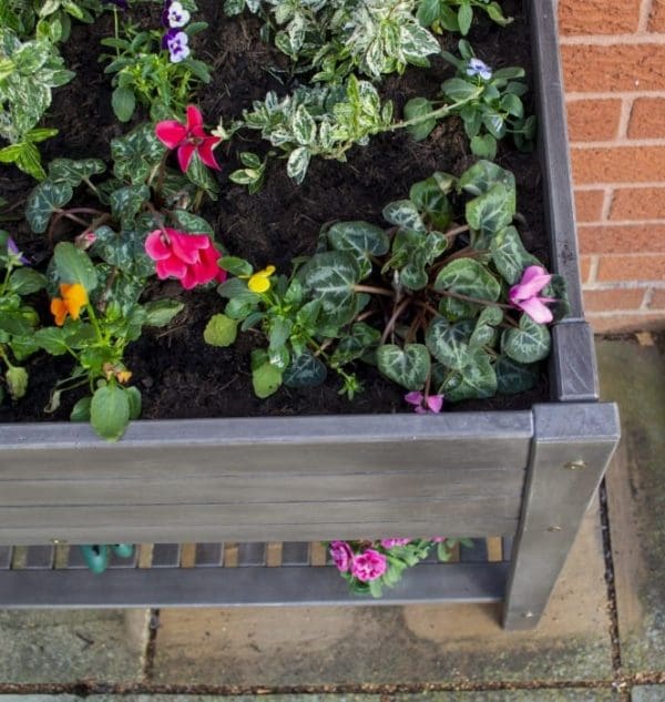 Alderley Raised Planter - Image 4