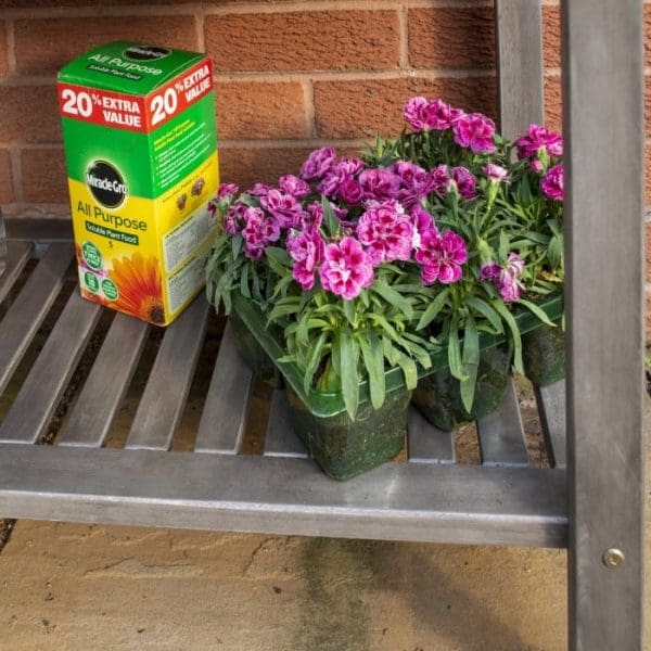 Alderley Raised Planter - Image 5