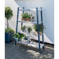 Galaxy Plant Shelf