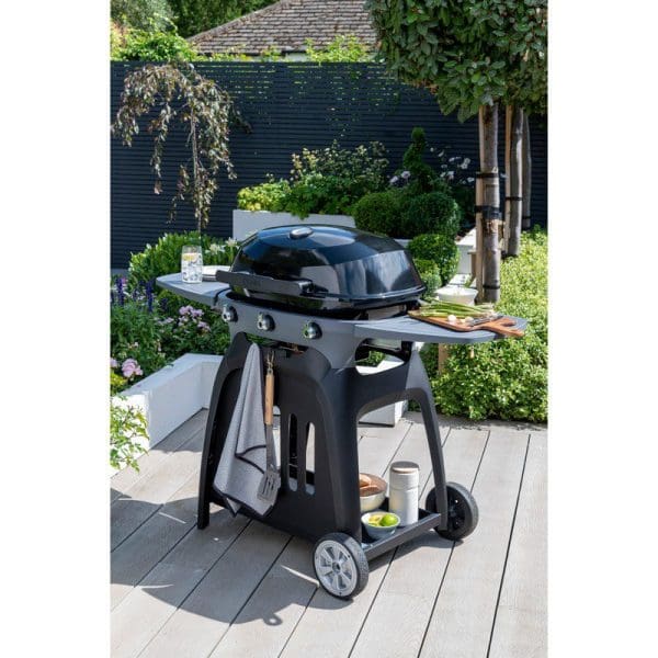 N-Grill Gas Grill - Image 4