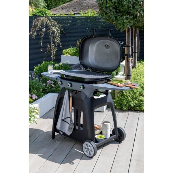 N-Grill Gas Grill